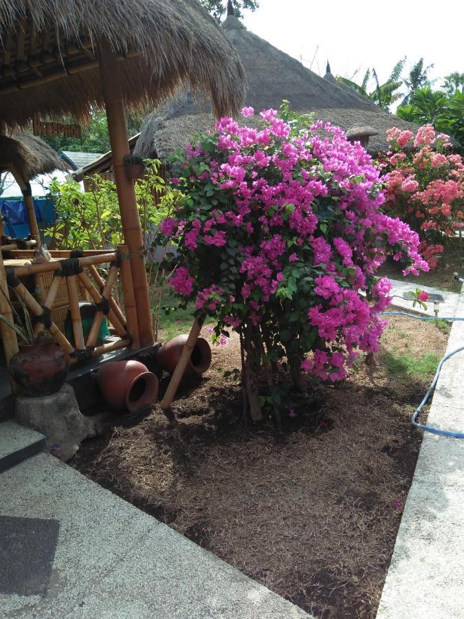 Tua Tua Keladi Bungalows Gili Air Dış mekan fotoğraf